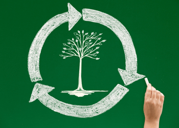 Pelatihan Sustainability: Kuasai LCA & Tingkatkan Karier
